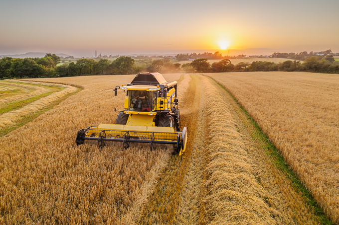 Theme_Sunset Harvest